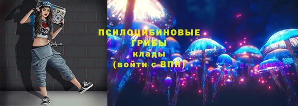 дживик Беломорск