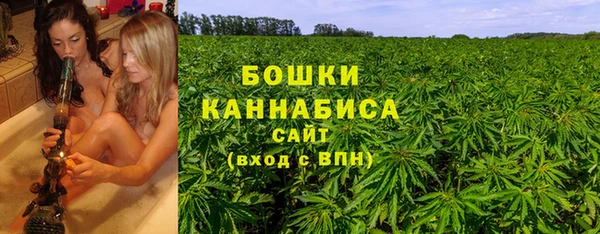 дживик Беломорск