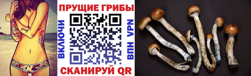 это наркотические препараты  магазин продажи наркотиков  Маркс  Галлюциногенные грибы Psilocybine cubensis 
